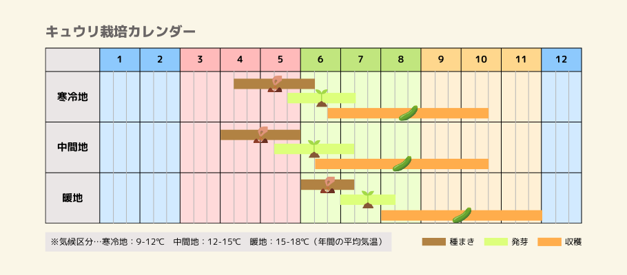 キュウリの栽培カレンダー