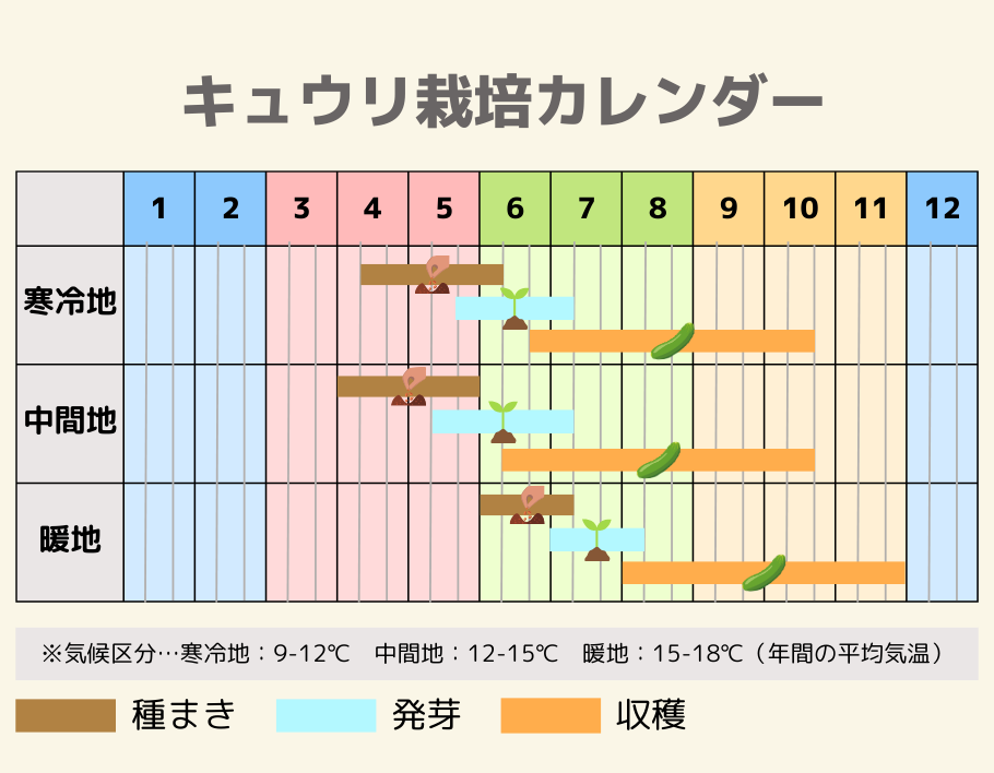 キュウリの栽培カレンダー