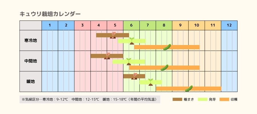 キュウリの栽培カレンダー