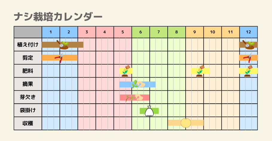 ナシの栽培カレンダー