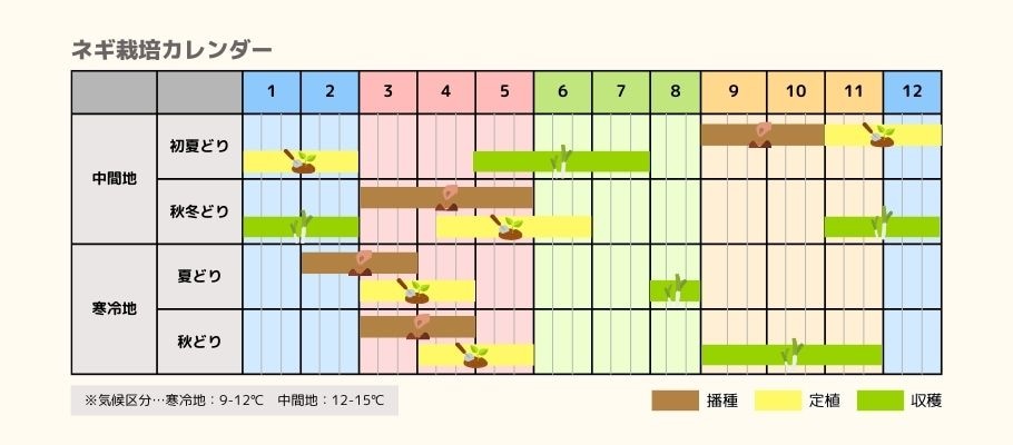 ネギの栽培カレンダー