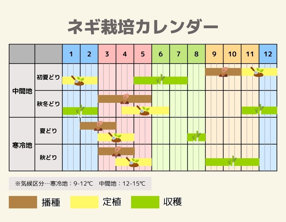 ネギの栽培カレンダー