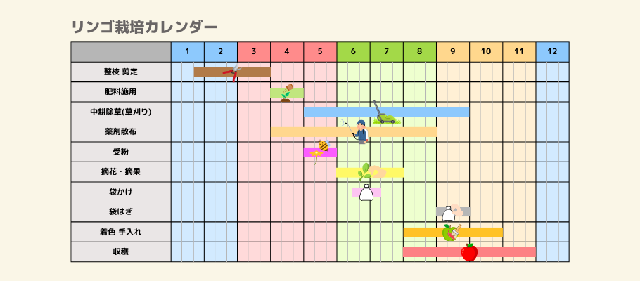 リンゴの栽培カレンダー