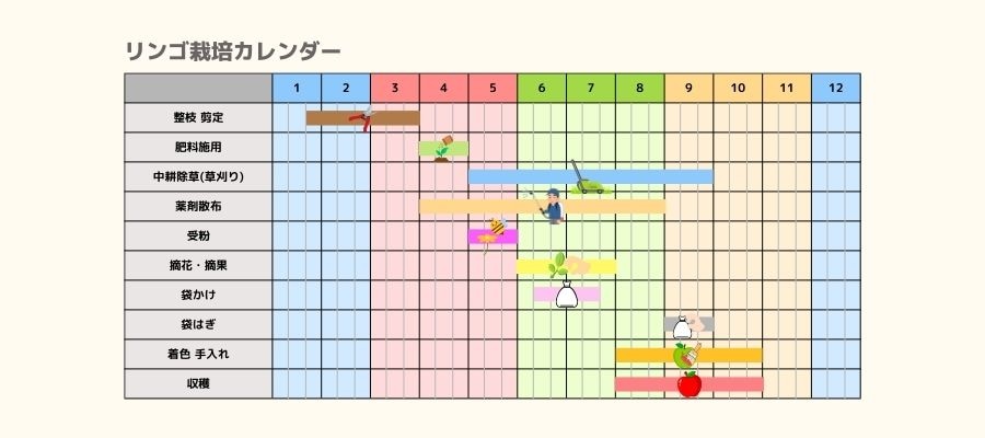 リンゴの栽培カレンダー