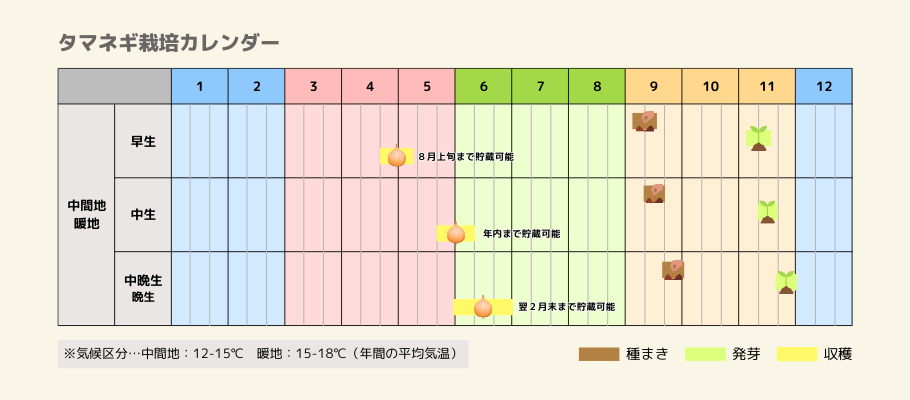 タマネギの栽培カレンダー