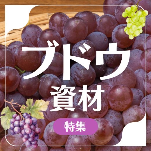 ブドウ資材