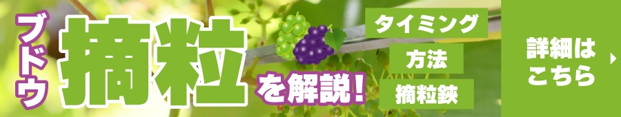 摘粒記事