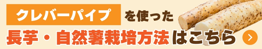 クレバーパイプ記事