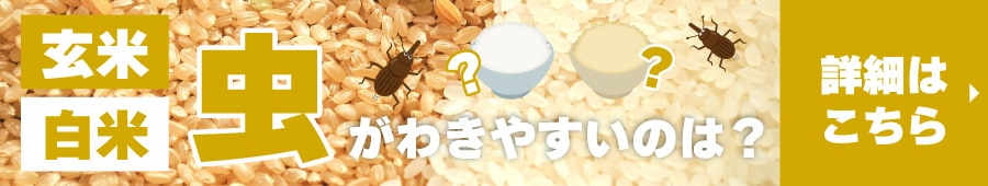 玄米白米虫記事
