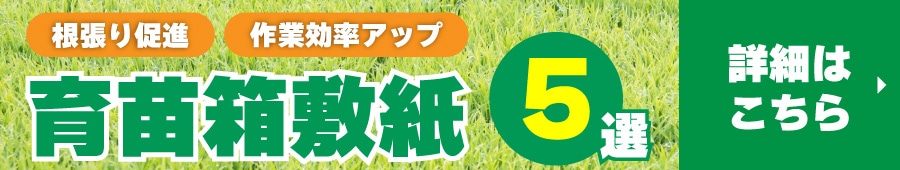 育苗箱敷紙記事