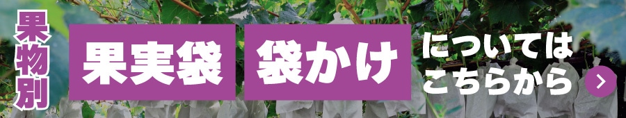 果実袋記事