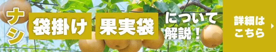 ナシ果実袋記事