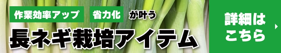 ネギ記事