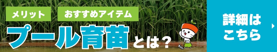 プール育苗記事