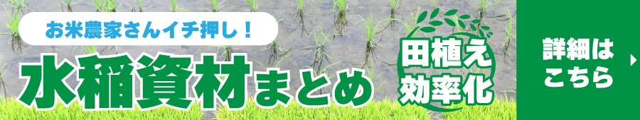 田植え記事