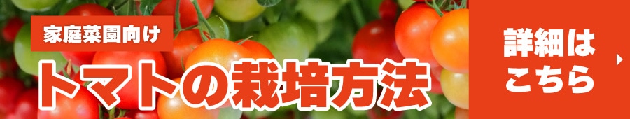 トマト記事