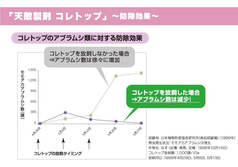 コレトップ 
