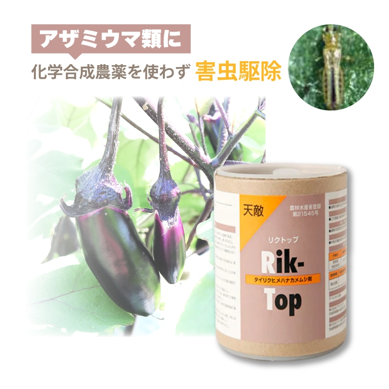 リクトップ 