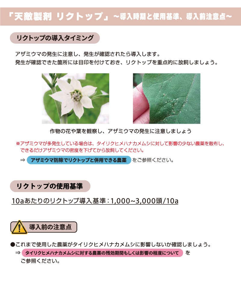 リクトップ 