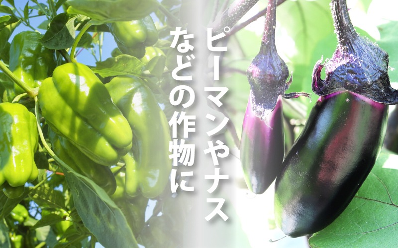 リクトップ 