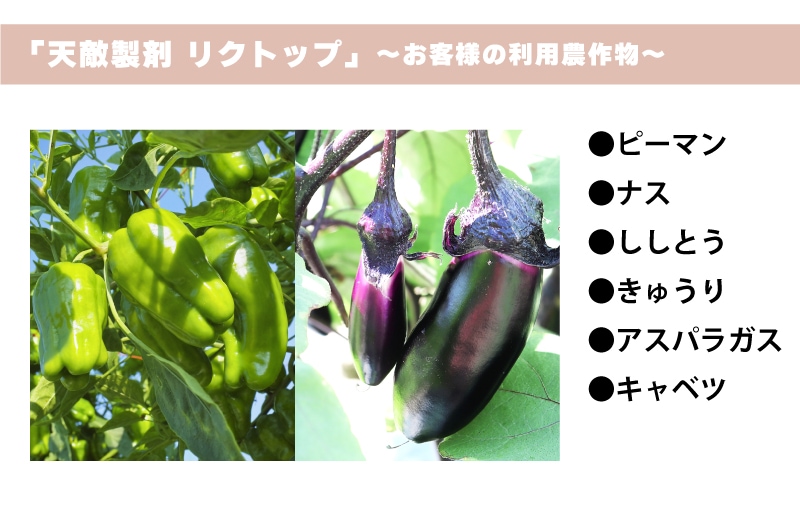 リクトップ 