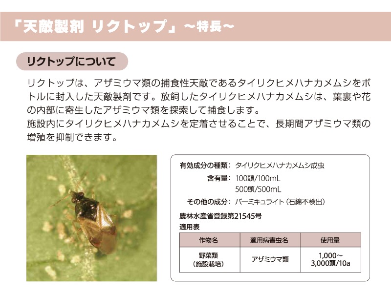 リクトップ 