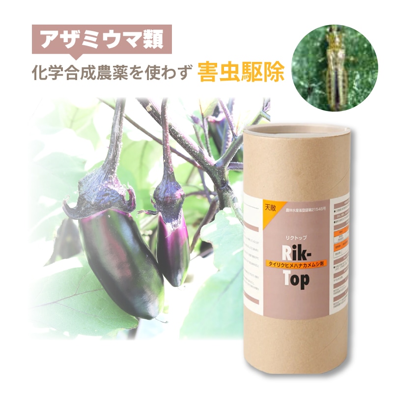 プラスワイズ本店｜天敵製剤 リクトップ 500頭 500ml タイリクヒメハナ