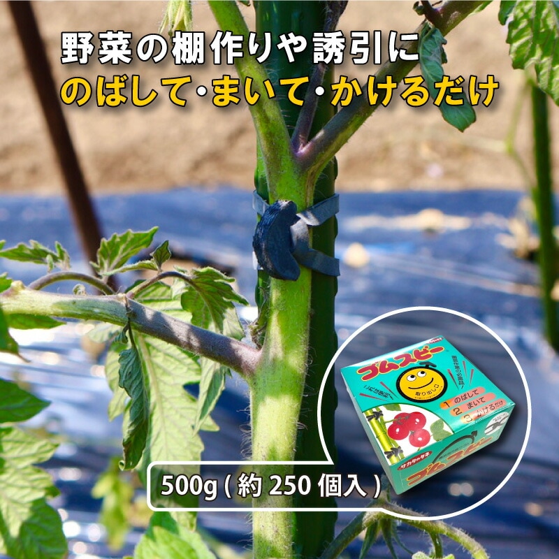 ゴムスビー500g