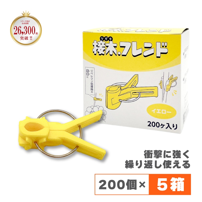 1000個接木フレンドイエロー