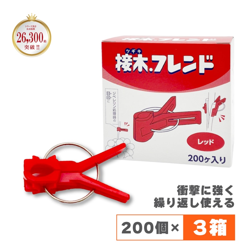 600個接木フレンドレッド