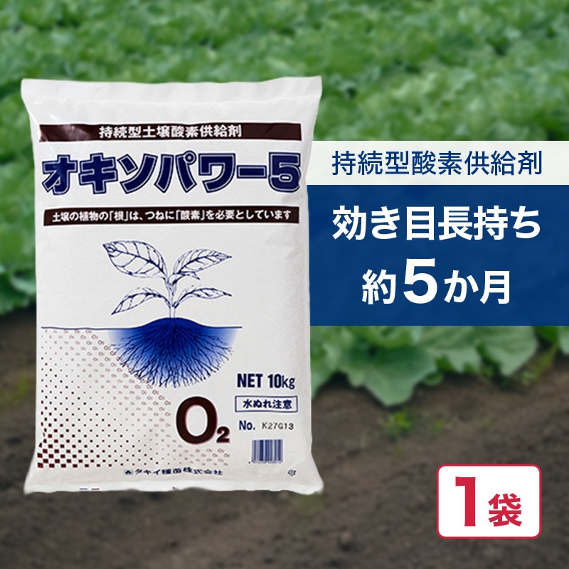 片山　S 10kg M 15キロ 食品 片山様専用 S 10kg M 15キロ