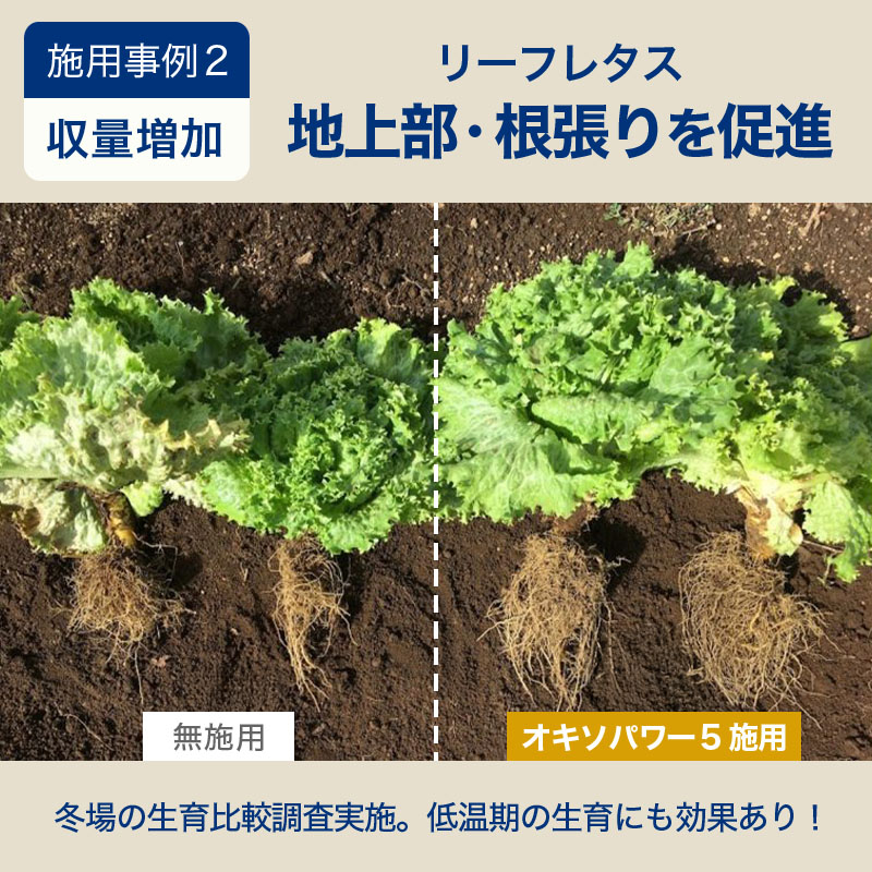 オキソパワー5