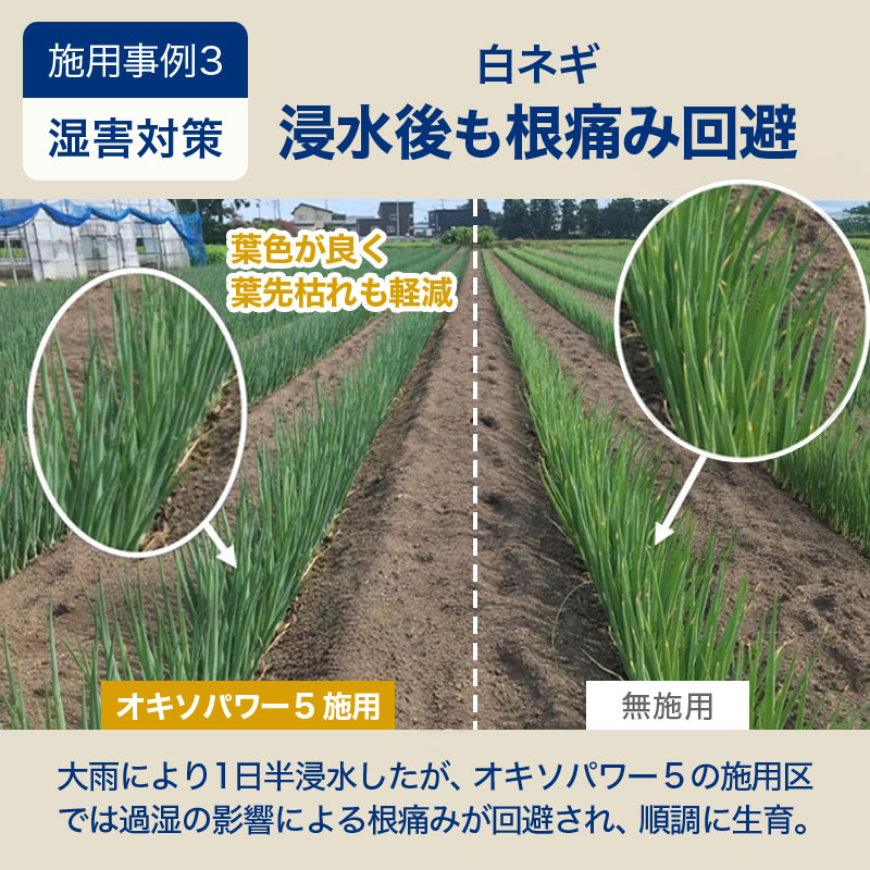 オキソパワー5