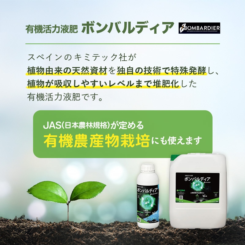 ボンバルディア1L