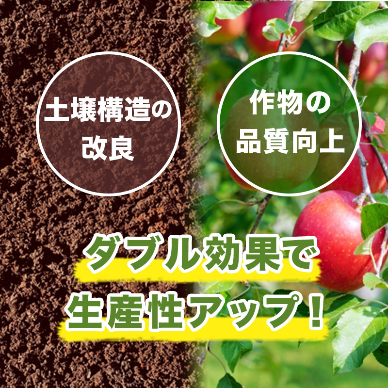 ボンバルディア1L
