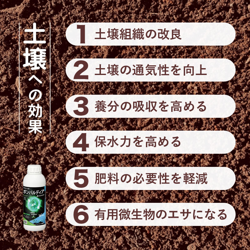 ボンバルディア1L