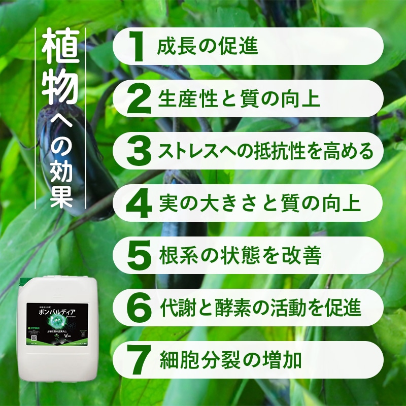 ボンバルディア1L