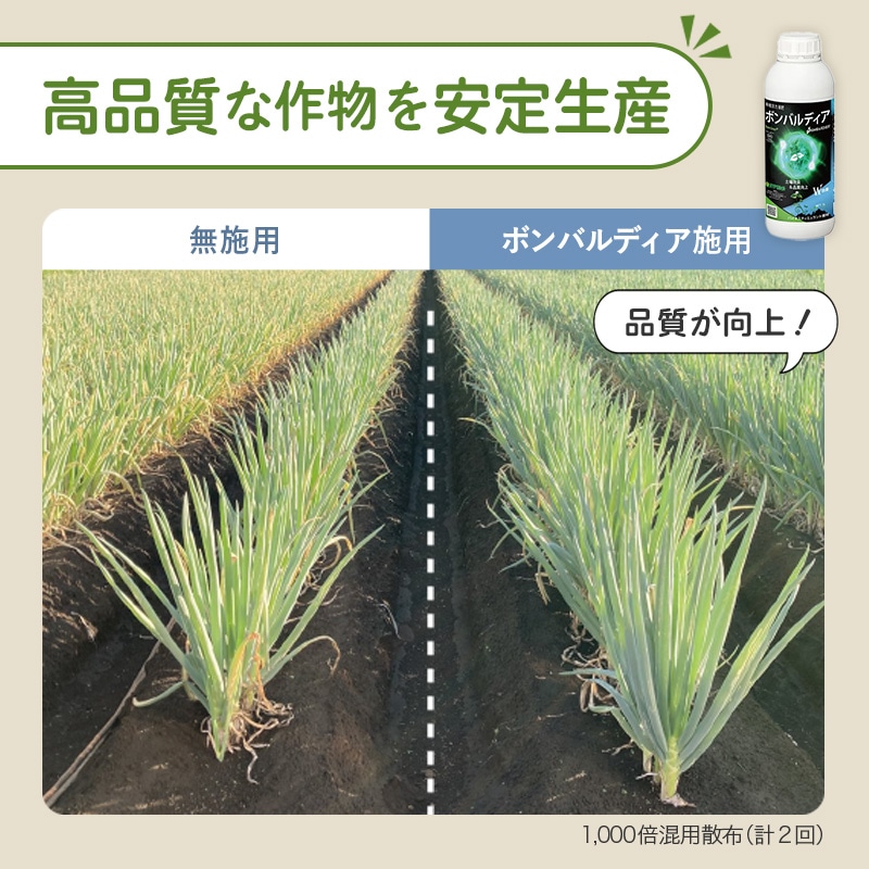 ボンバルディア1L
