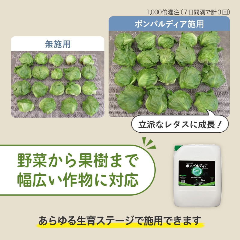 ボンバルディア1L