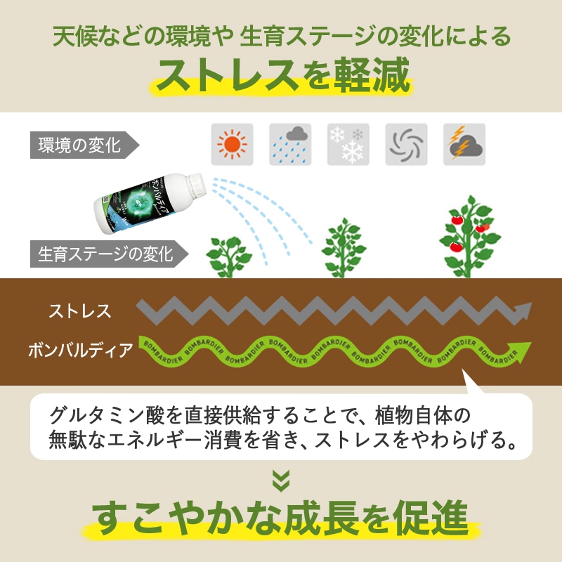 ボンバルディア1L