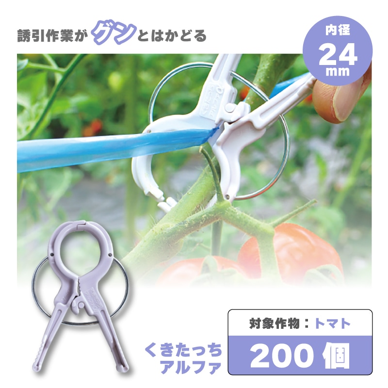 くきたっち200個