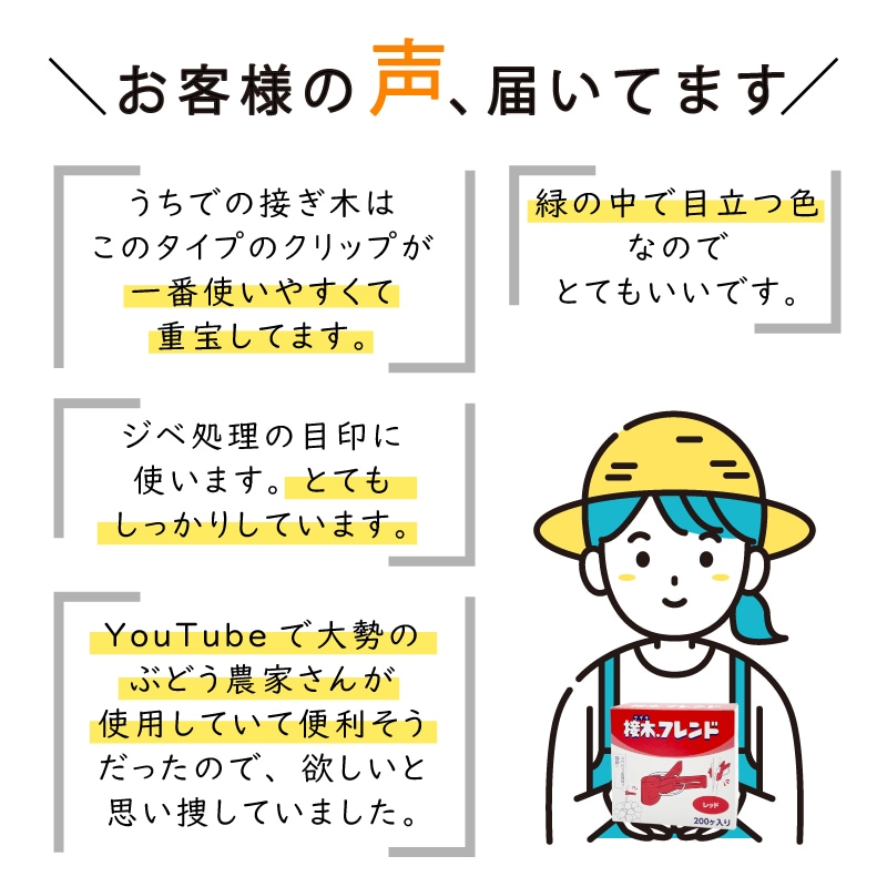 600個接木フレンドレッド