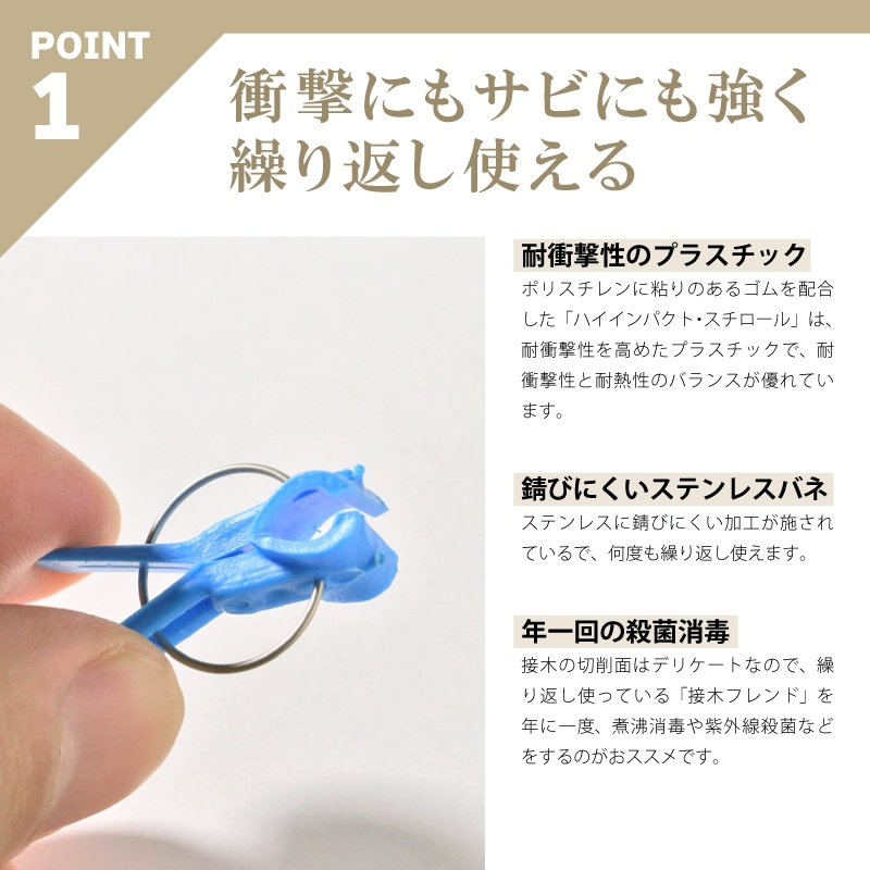 600個接木フレンドレッド