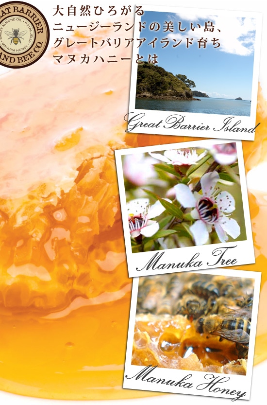 グレートバリアアイランドビー リップスティック SPF30 唇用保湿