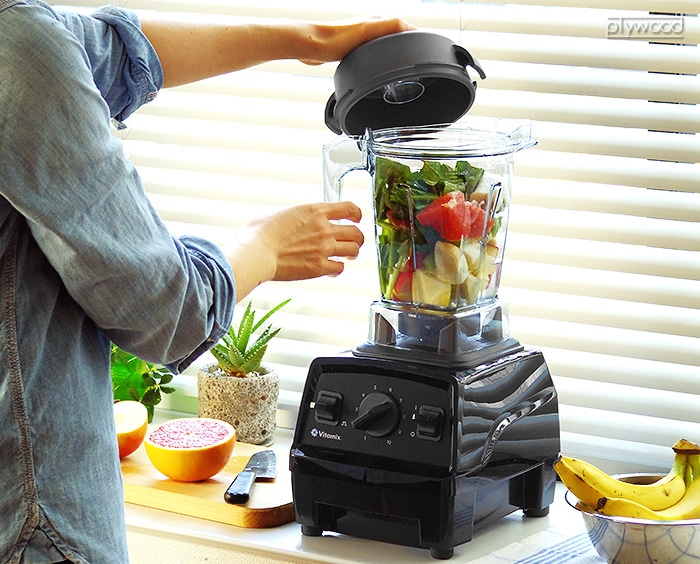 正規品5年保証 バイタミックス エクスプローラン E310 Vitamix Explorian-plywood