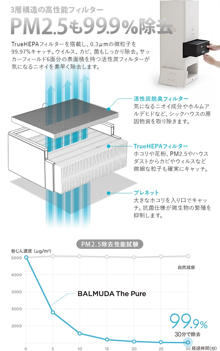 バルミューダ ザ・ピュア 集じん・脱臭フィルターセット [A01A－P100