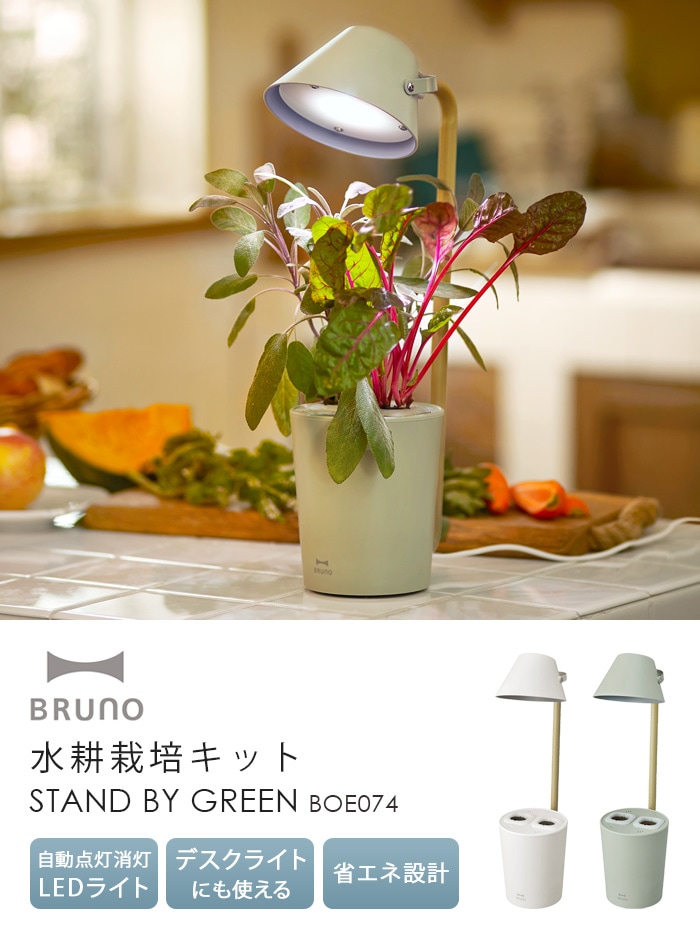 Bruno 水耕栽培キット Stand By Green Boe074 ブルーノ 新着 Plywood プライウッド