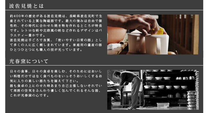 20851103i.jpg