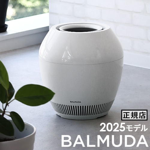 ほぼ未使用✨BALMUDA Rain Wi-Fi ERN-1100UA 加湿器 2025年モデル バルミューダ レイン 加湿器 大容量 気化式 BALMUDA Rain