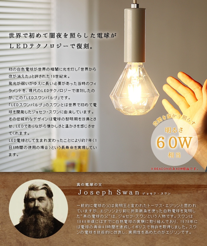 スワン バルブ LED SWAN BULB [Edison SWB-E002L/Ball SWB-G200L